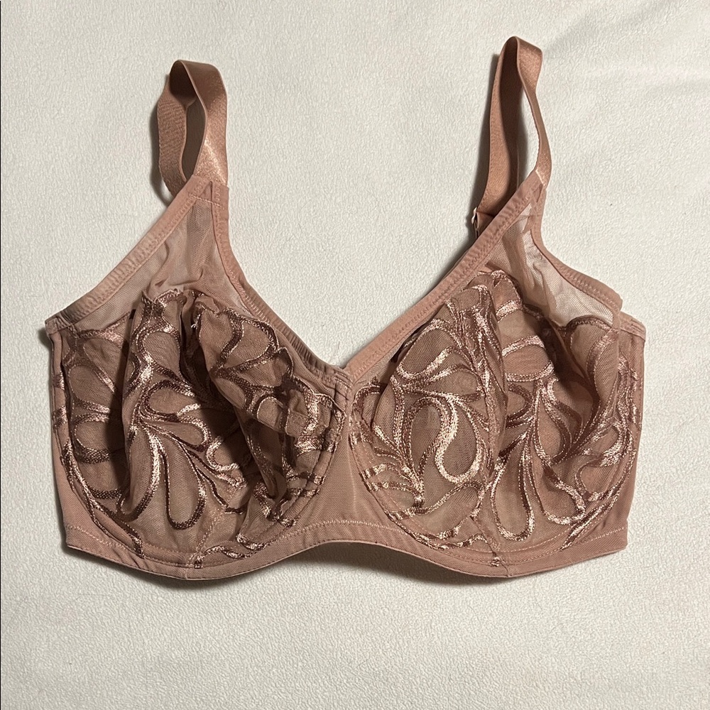Paramour Embroidered Lace Bra